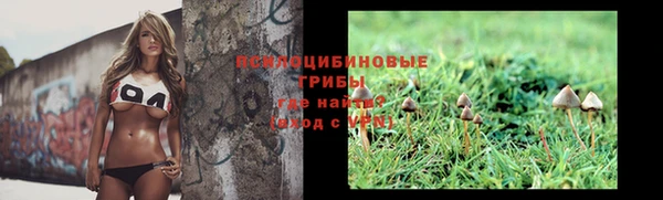 сатива Арсеньев