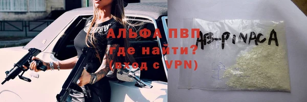 сатива Арсеньев