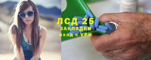 сатива Арсеньев