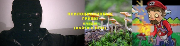 сатива Арсеньев