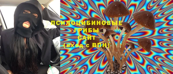 сатива Арсеньев
