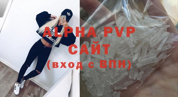 сатива Арсеньев