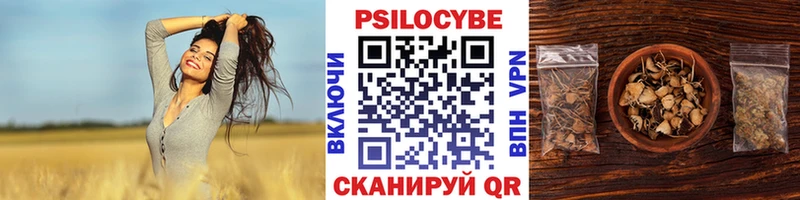 Псилоцибиновые грибы мицелий  Сычёвка 