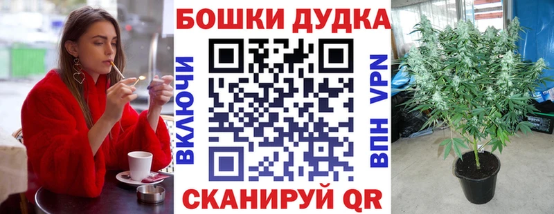 где купить наркоту  Сычёвка  Шишки марихуана семена 